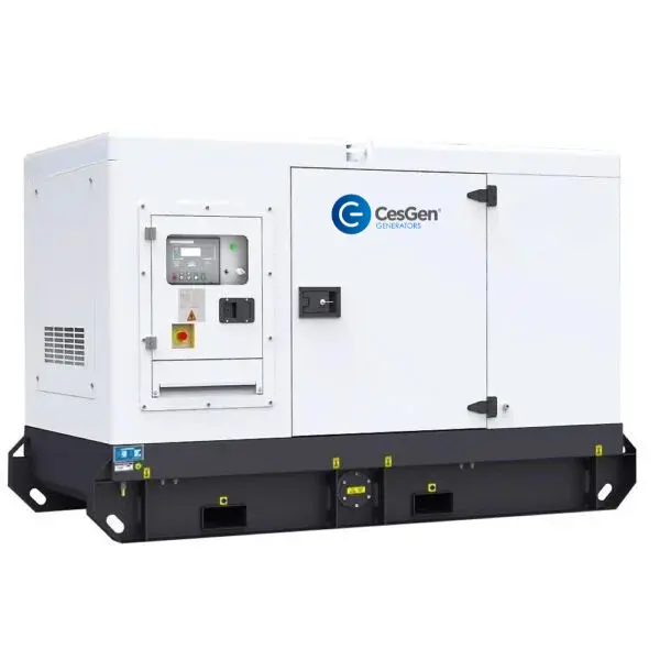 GENERATOR 45KVA 1PH 220V ENCLOSED
