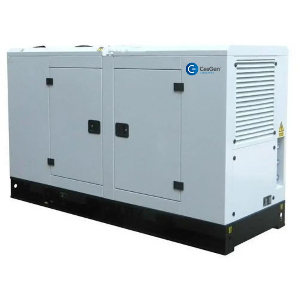 15kVA 110/220V 1PH DIESEL GENERATOR WITH CANOPY