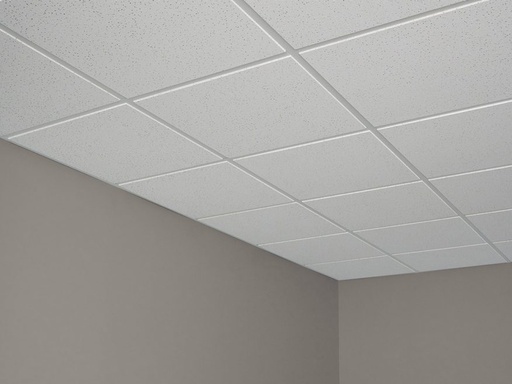 [TILEC-ACCT22] 2' X 2' ACOUSTIC CEILING TILE, 2210 REG EDGE